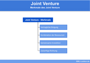 Merkmale des Joint Venture